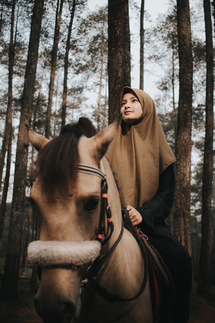 The Importance of Horse Care