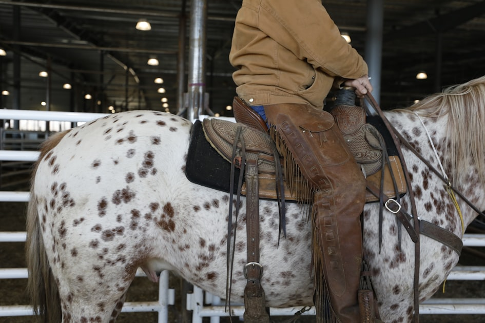 The Benefits of Horse Riding